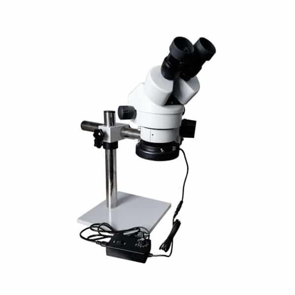 Microscopio genérico estéreo zoom